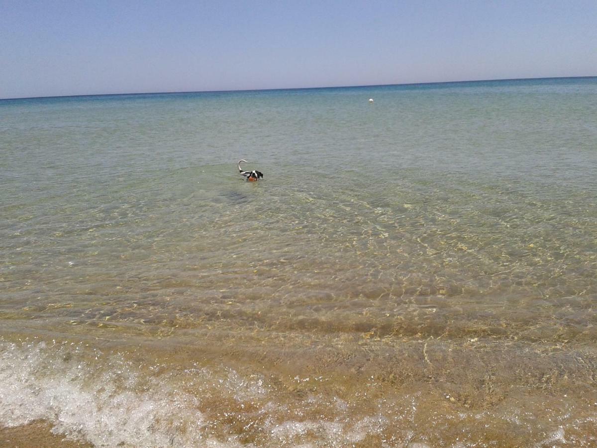 Profumo Di Mare Fronte Spiaggia Lido di Noto المظهر الخارجي الصورة